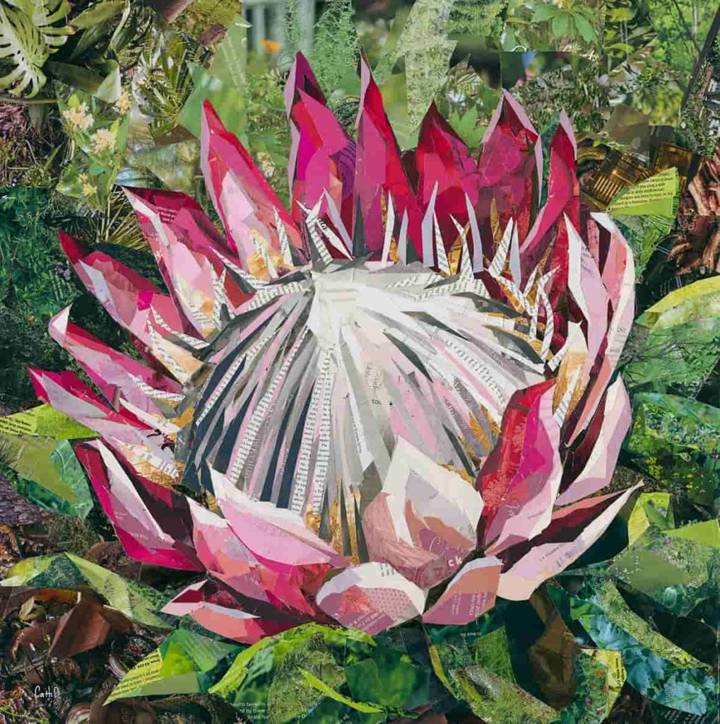 Paper Protea 1 - Cath Duncan Art + Therapy